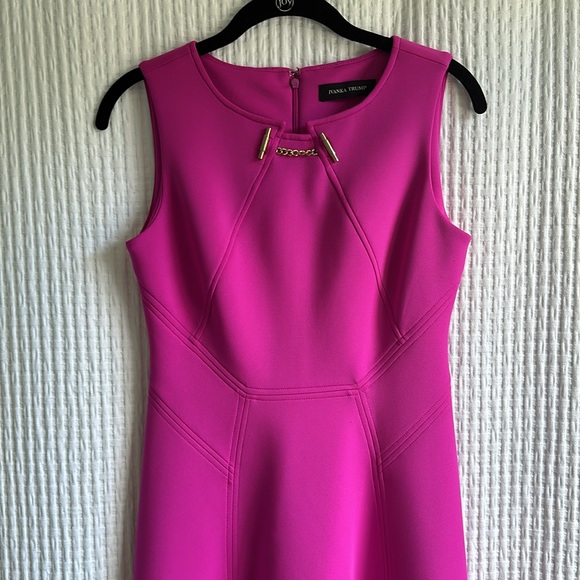 Professional Pink Dress - Picture 5 of 9